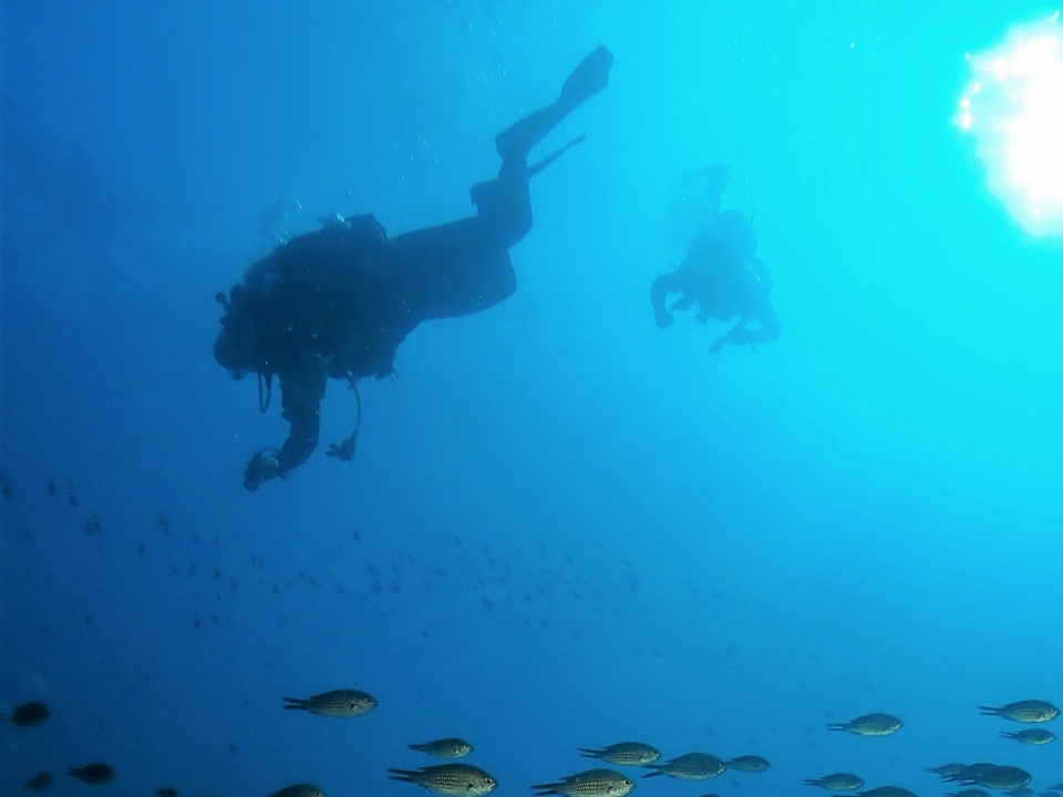 En el agua