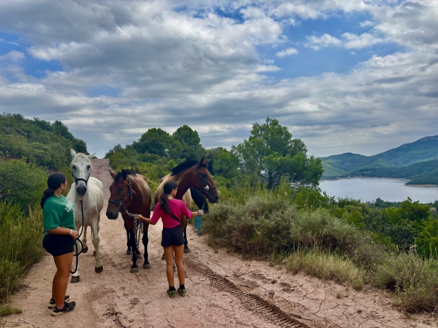 Cabalgamarra Mirador del Serrat del Centinela 2h