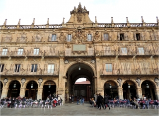 Tour Salamanca Centro Ganadería de Toro Bravo 8 h