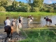 Cabalgatas Mijas