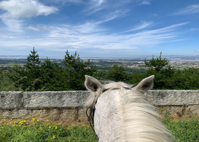 Vistas de Vilanova de Arousa a caballo