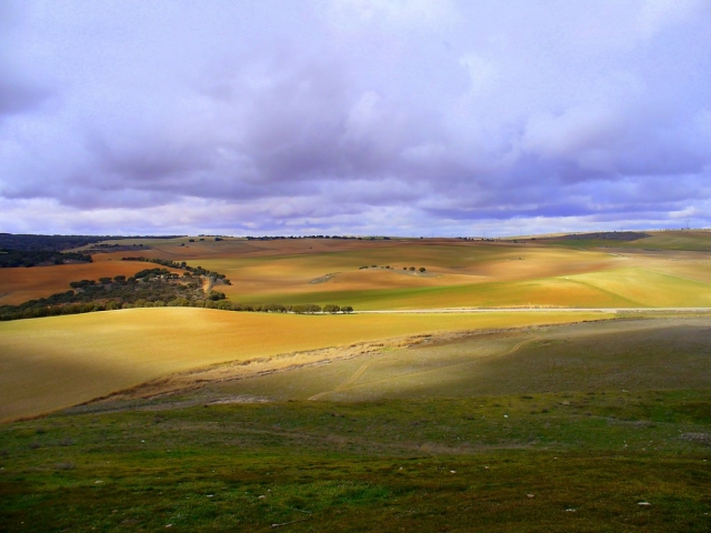 Campos de la comarca de Cuenca