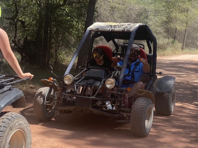 Buggies por Albir