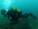 Bautismos de Buceo Nerja