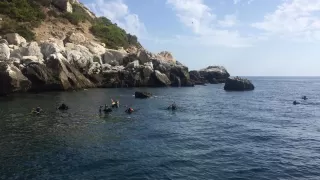 Snorkel en los Acantilados de Maro Cerro-Gordo