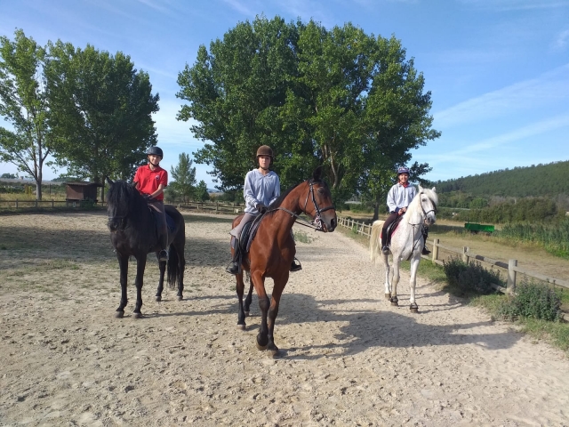 A lomos del equino
