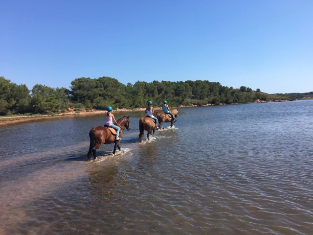 Paseo a caballo por calas de Menorca