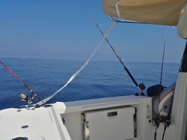 Salida de pesca en Cádiz