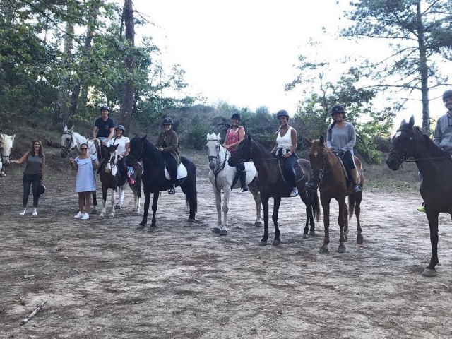 Cabalgamarra por Galicia