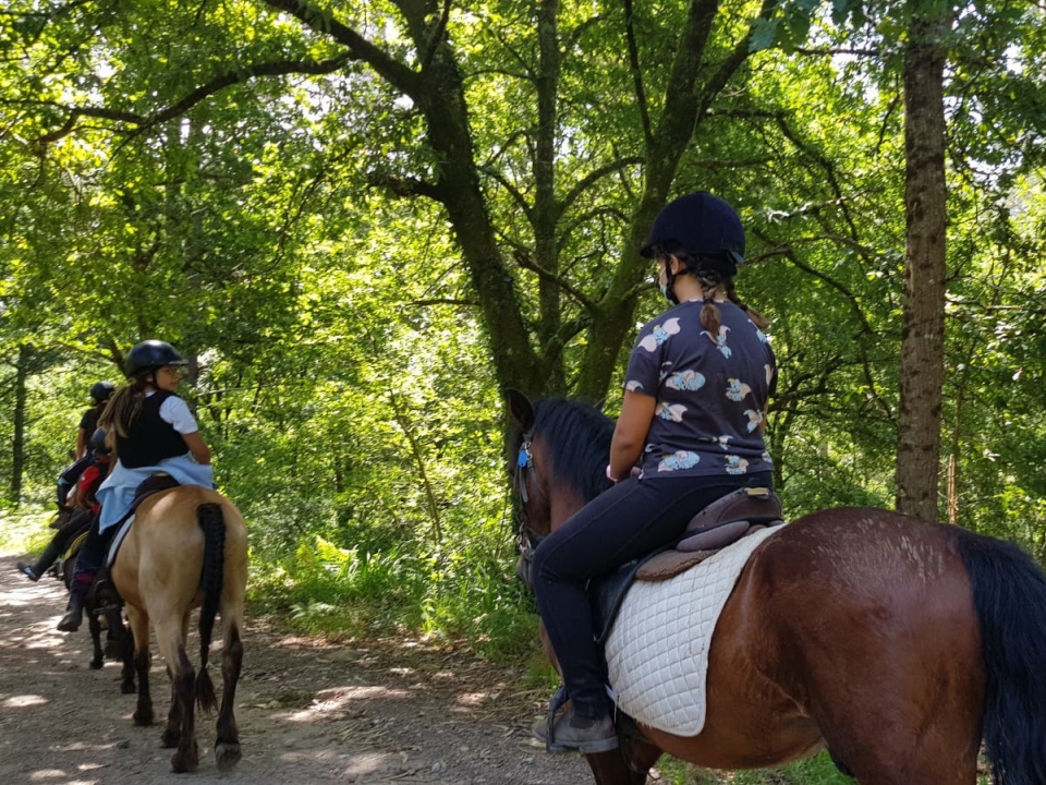 Descubre Galicia a caballo