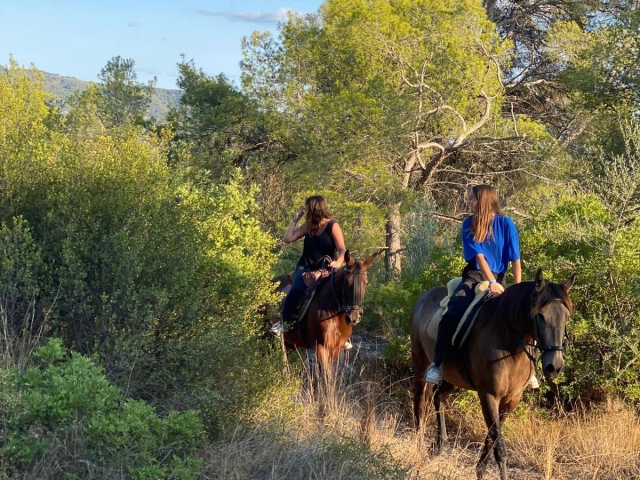 Cabalgamarra por el Baix Ebre + aperitivo, 1'5h