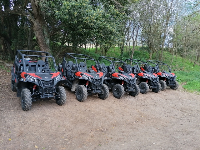 Nuestros buggies biplaza