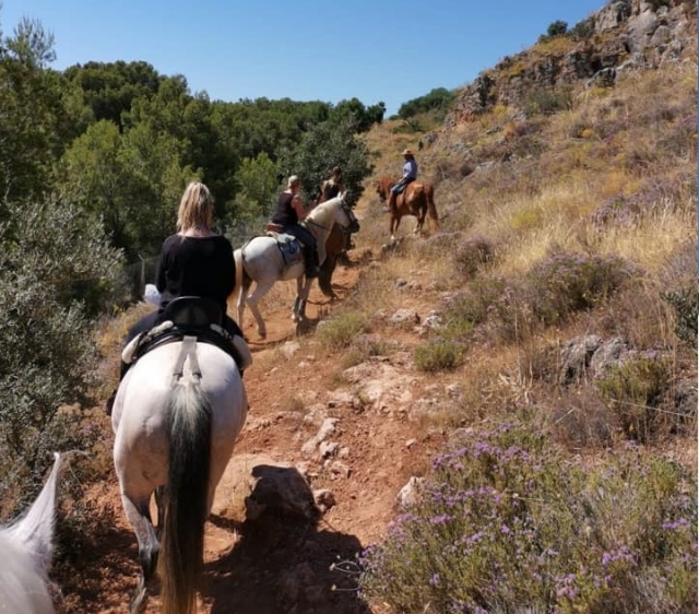 Adentrándonos con los caballos en el bosque
