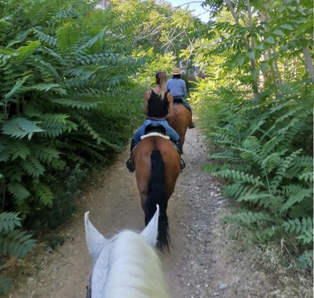 A caballo por los caminos de Torremolino