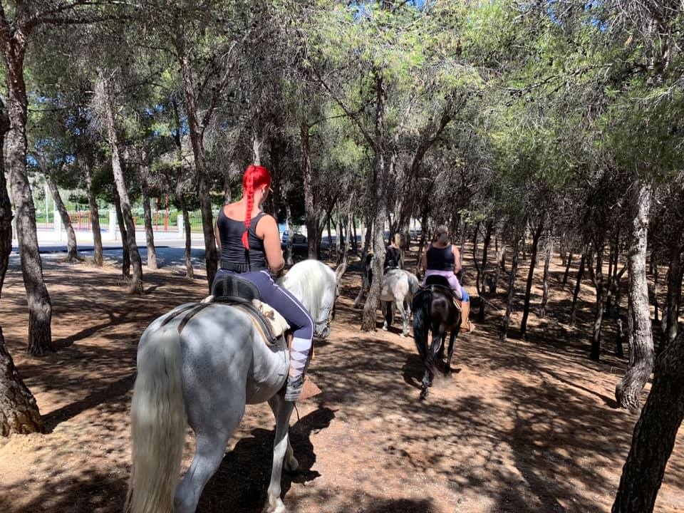 Entre la pineda con los caballos
