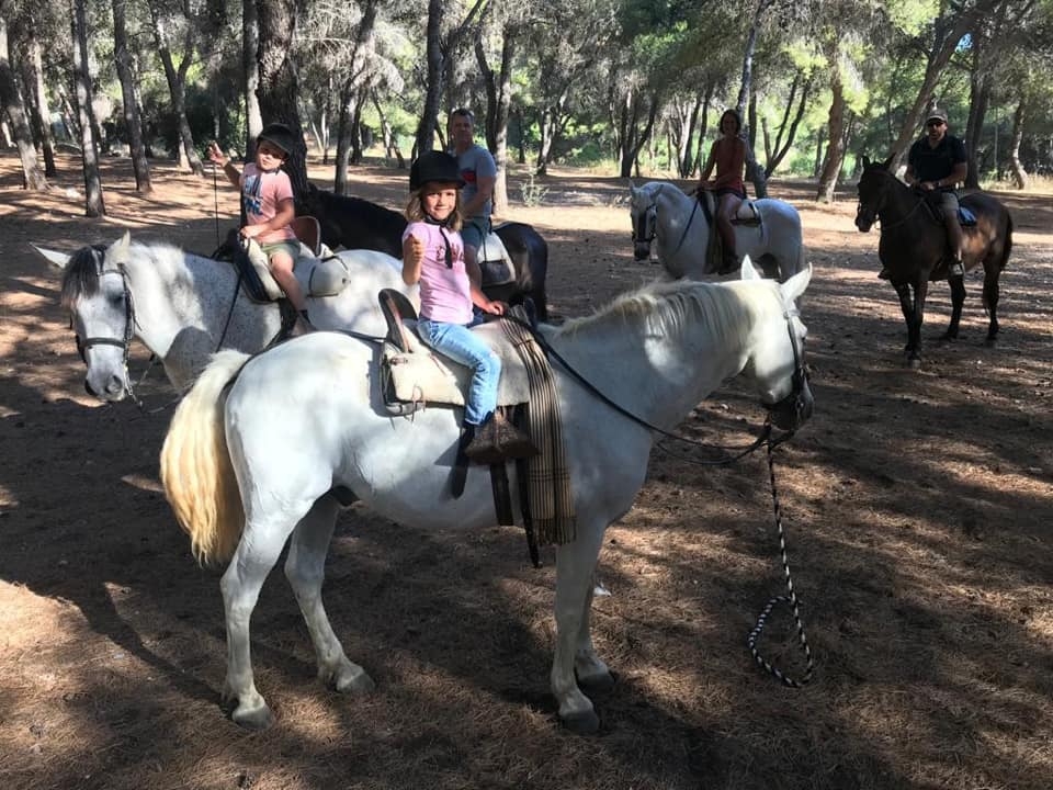 Ruta ecuestre por el bosque