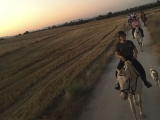Cabalgamarra por el río Jarama en Madrid 1 hora