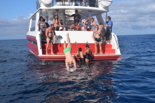 Whale watching VIP en Los Cristianos, 2h