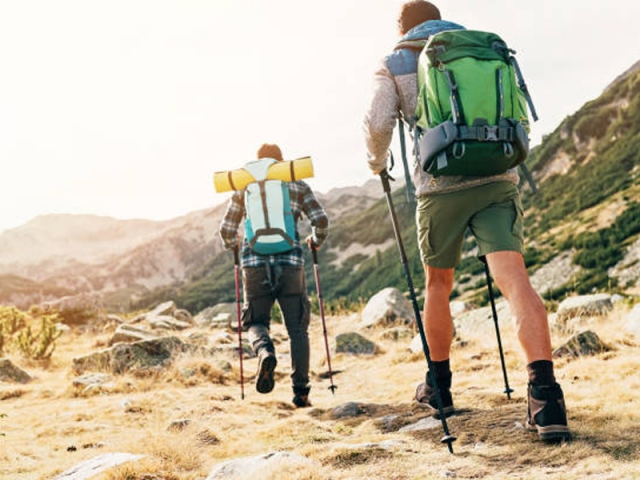 Tour por Los Montes de Málaga 4 h Adultos