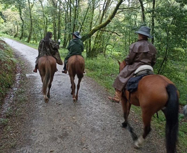 Paseo a caballo con amigos