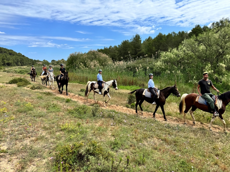 Durante el paseo