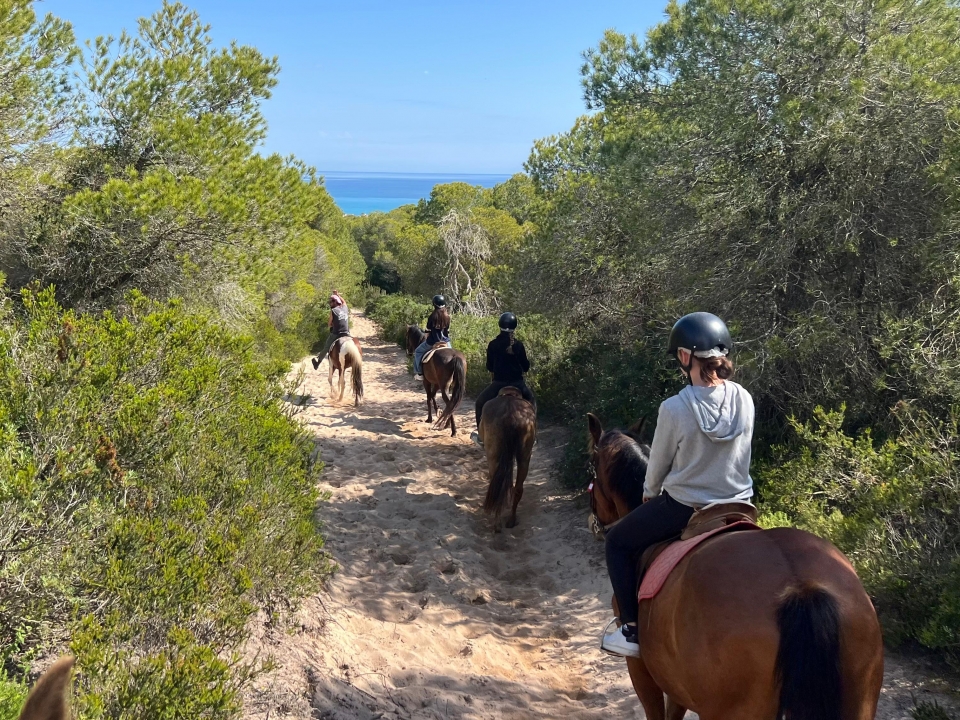 Mallorca a caballo