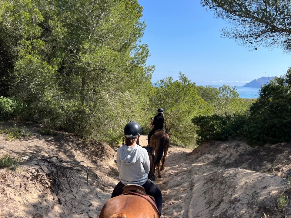 Cabalgamarra por Can Picafort Cabalgamarra por Can Picafort