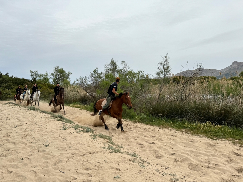Cabalgamarra por Son Bauló