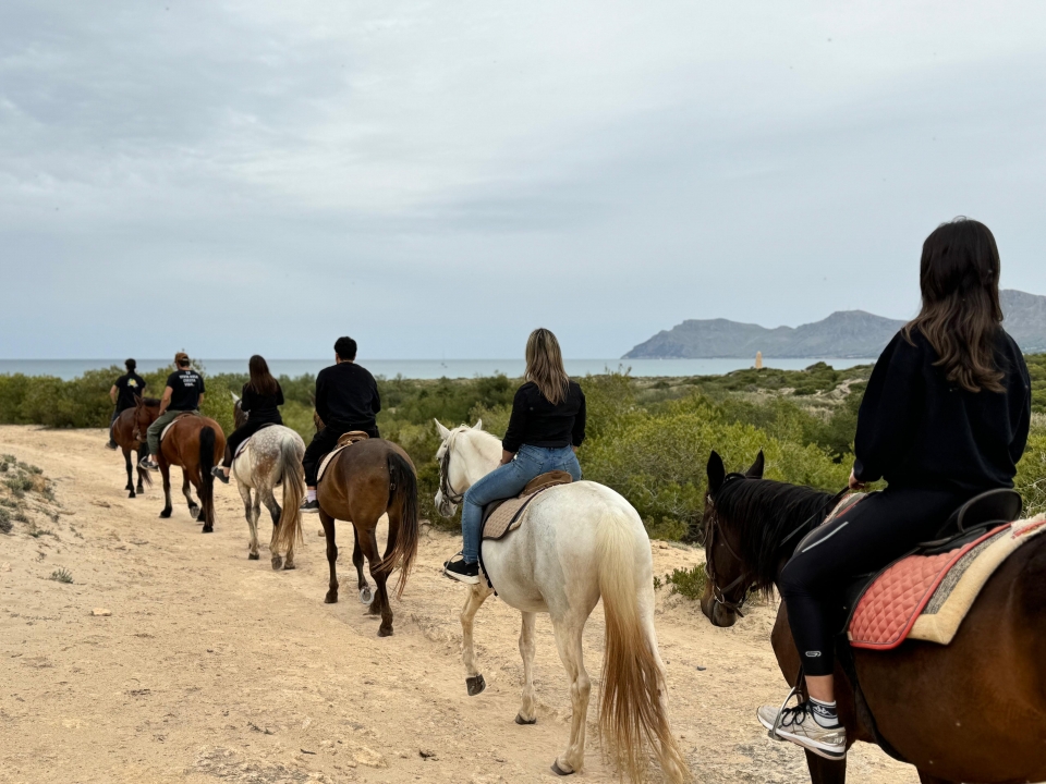 Cabalgamarra Cabalgamarra