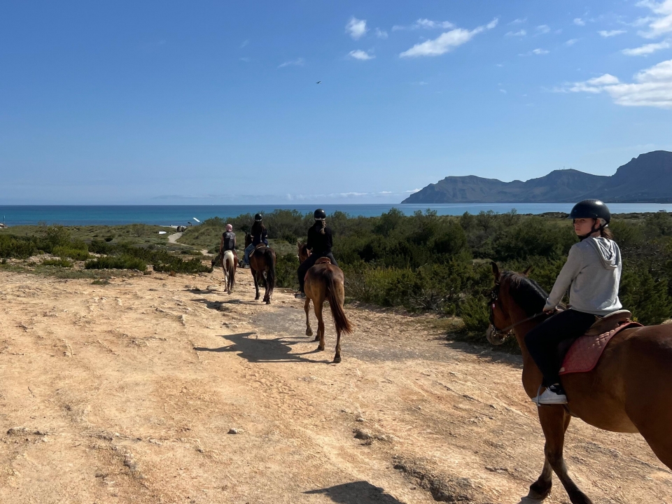 Cabalgamarras por Son Bauló Cabalgamarras por Son Bauló
