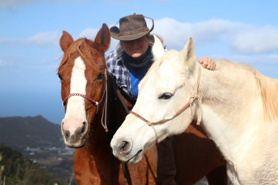 Posando entre los caballos