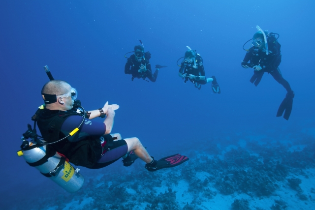 Instructor de buceo duranle la inmersión