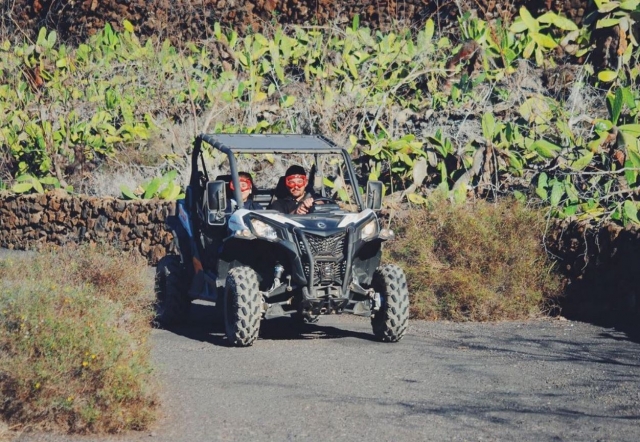 Entre los cactus con el buggy