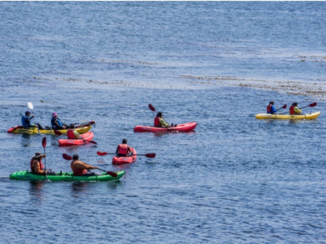 Grupo de amigos en kayak
