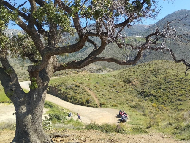 Cuatrimoto tour por Mijas