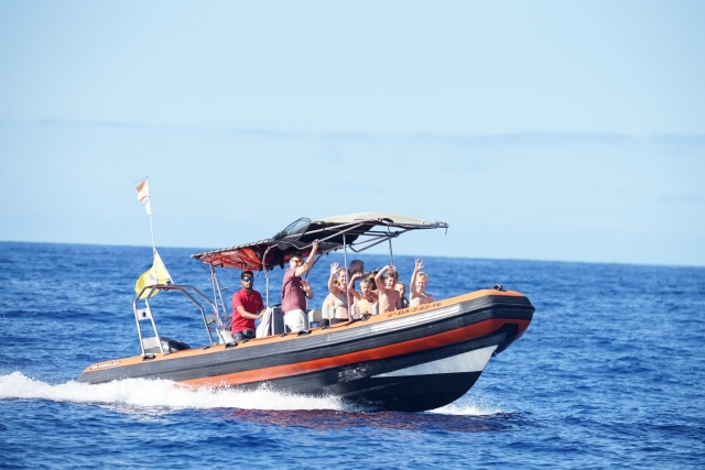Whale watching Puerto Colón, niños 2h