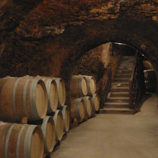 Nuestra bodega
