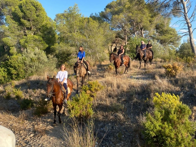 Cabalgamarra por el Baix Ebre + almuerzo, 1'5h