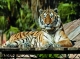 Zoológicos Comunidad Valenciana