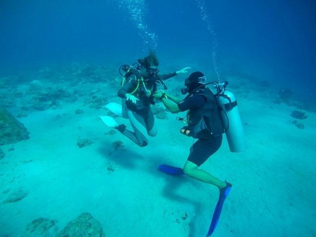 Aprendiendo con el instructor