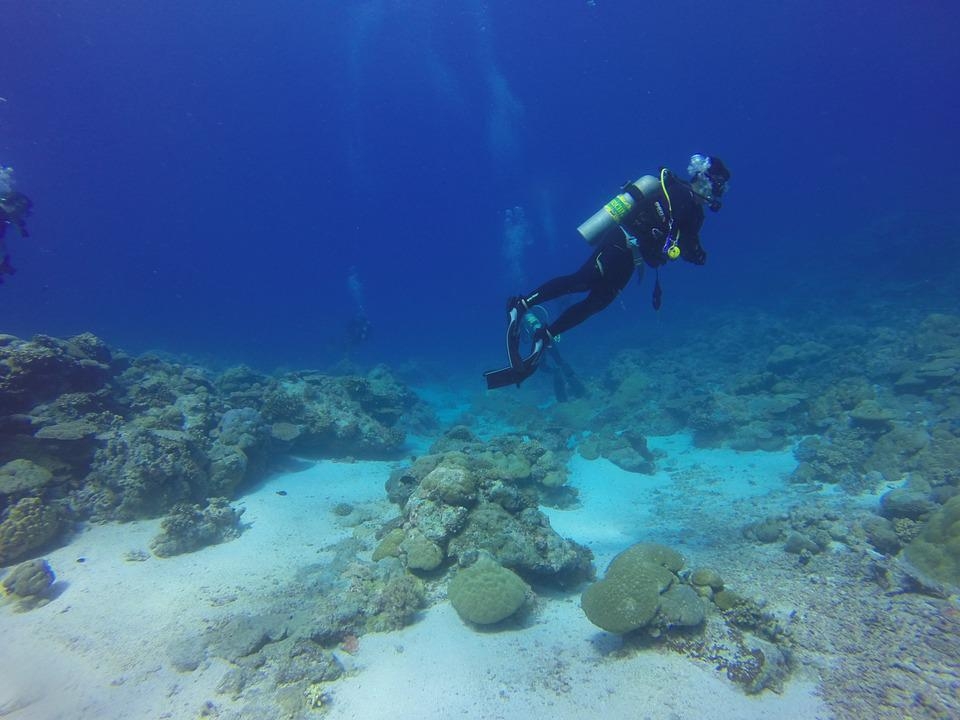 Bautismo de buceo en Girona