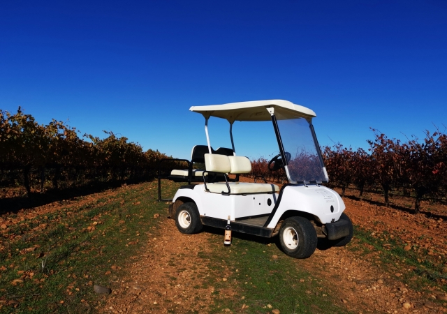 Descubre la finca en buggy