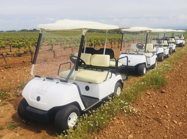 Nuestro buggy