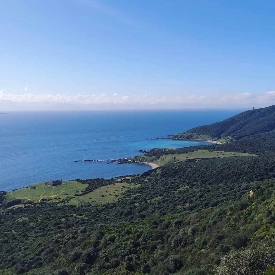La bahía de Algeciras