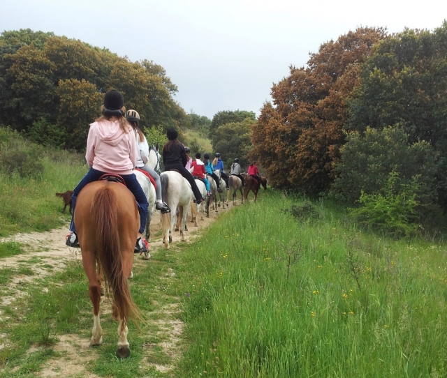Paseo por la Sierra norle de madrid