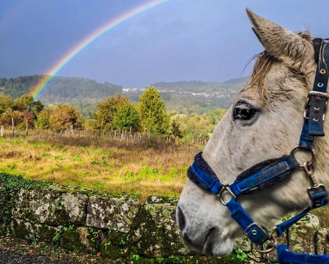 Paseo a caballo por los campos gallegos
