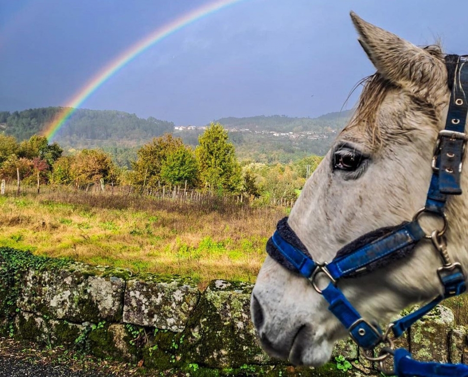 Escenarios naturales a lomos de un caballo