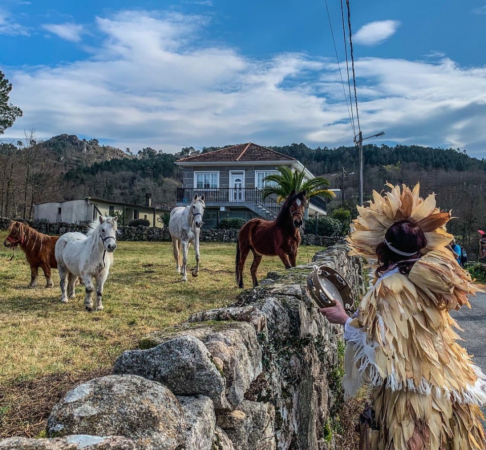 Excursiones ecuestres