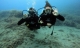 Bautismos de Buceo Mojacar