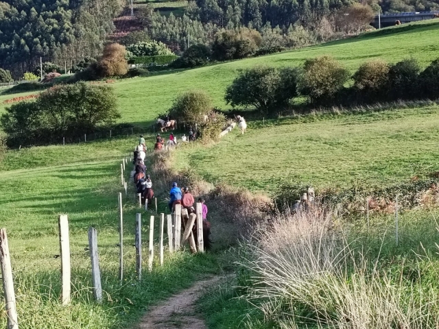 Actividad en caballo en grupo